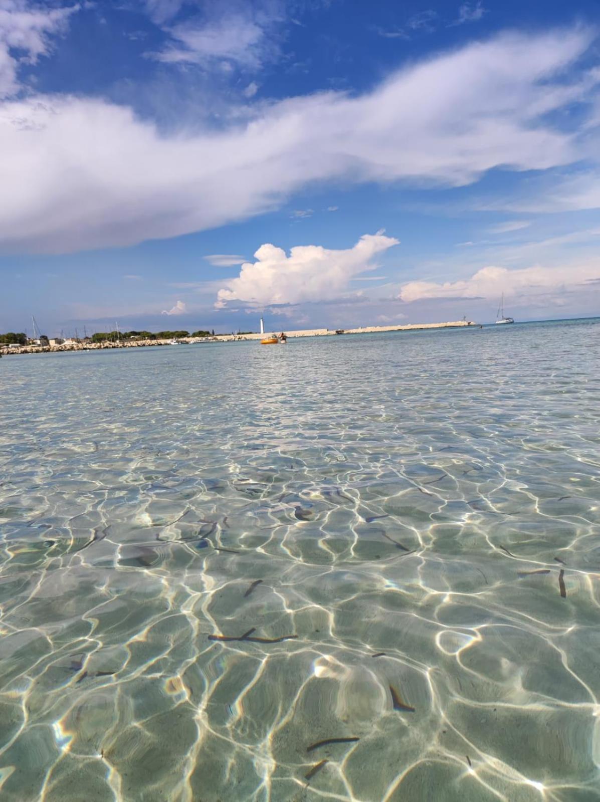 Casa Vacanze Il Faro San Vito Lo Capo-Trapani-Sicilia Ovest Holiday Home エクステリア 写真